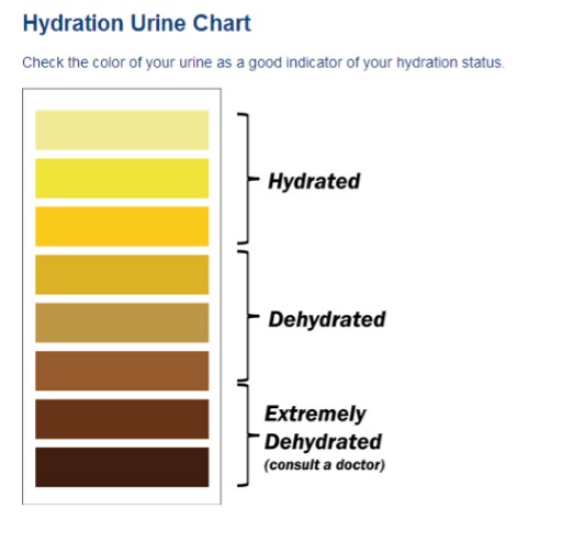 Summer alert: Are you hydrating enough? (Probably not!) - Work Health ...